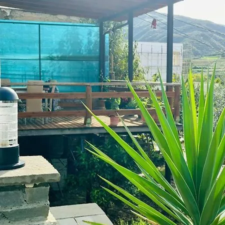Ferienhaus Guri's